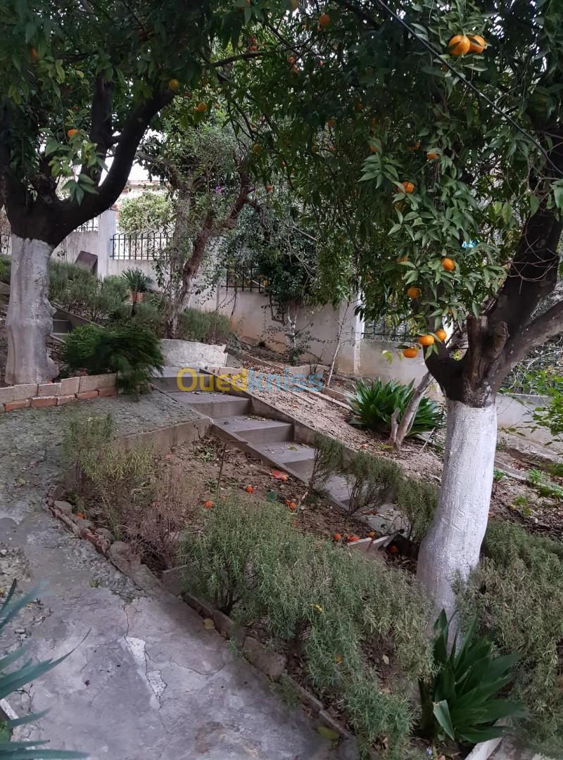 Vente Villa Alger Sidi mhamed