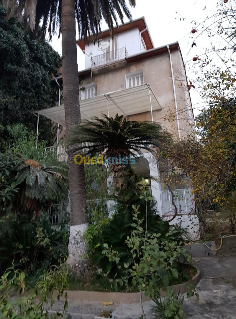 Vente Villa Alger Sidi mhamed