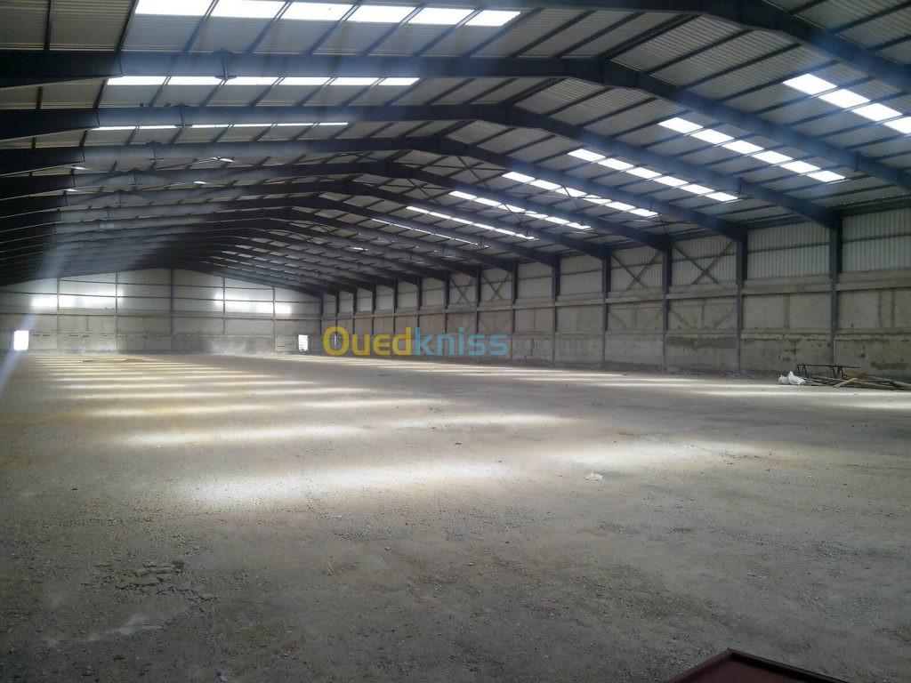 Location Hangar Tlemcen Tlemcen