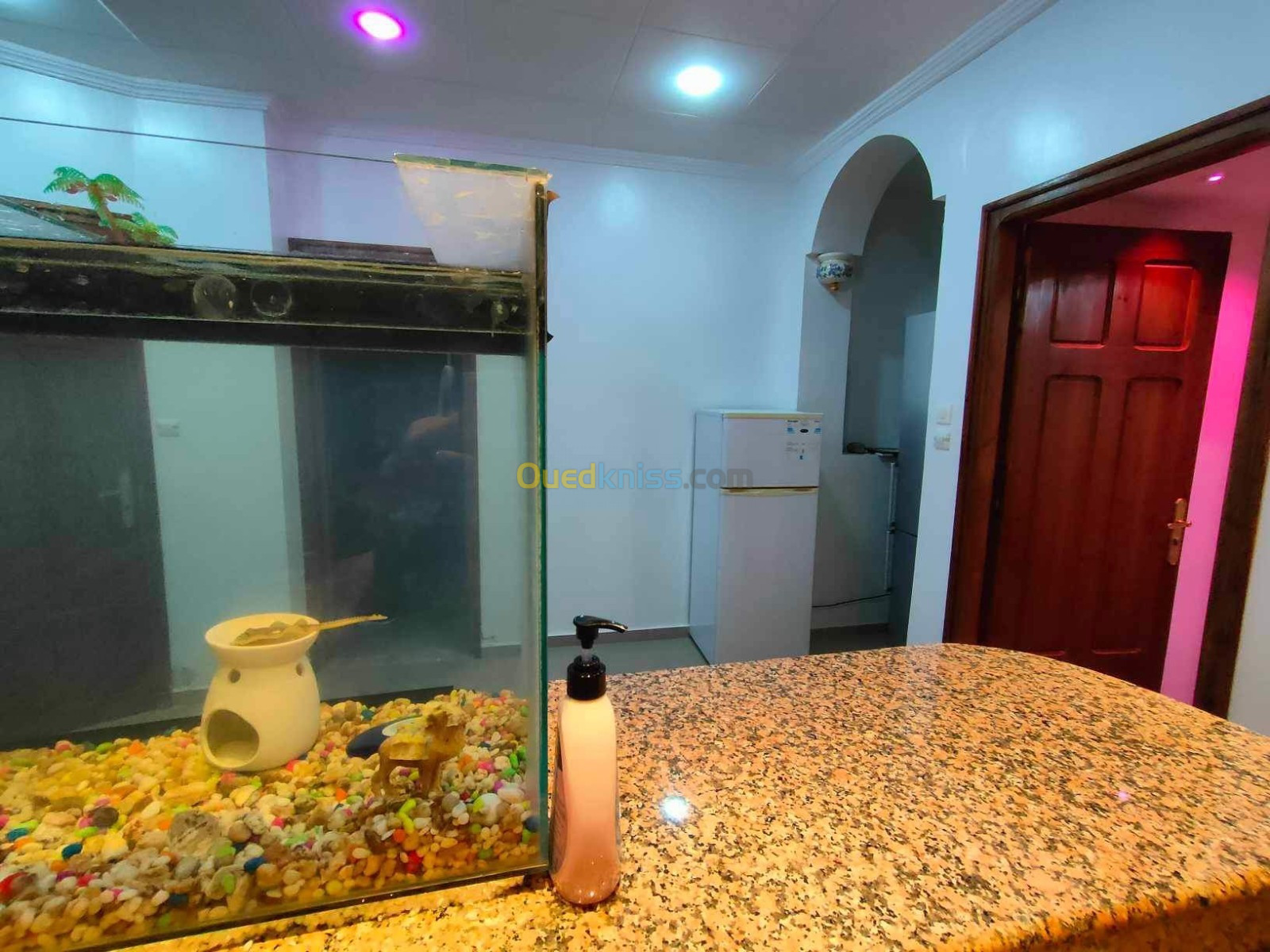 Location Appartement Oran Ain el turck