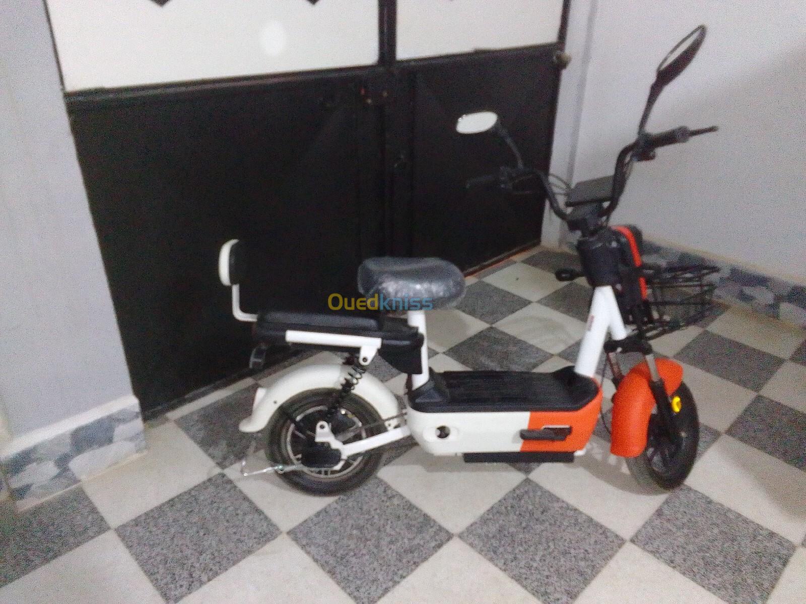 Scoozer Scooter 2024