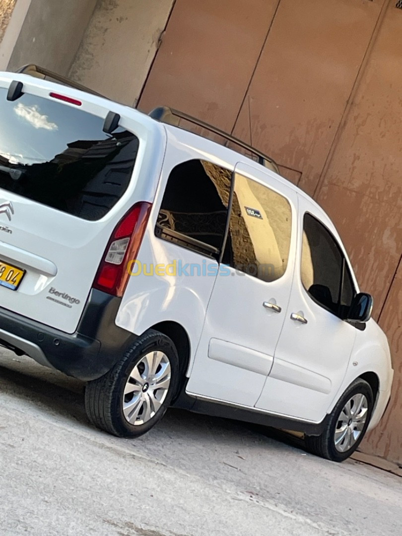 Citroen Berlingo 2018 Berlingo