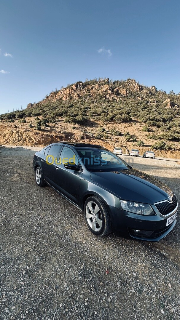 Skoda Octavia 2014 Ambiente