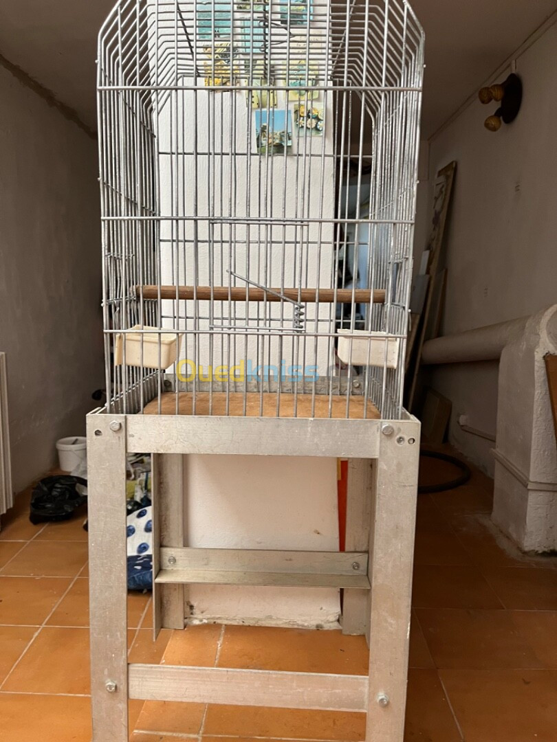 Cage pour perroquet 