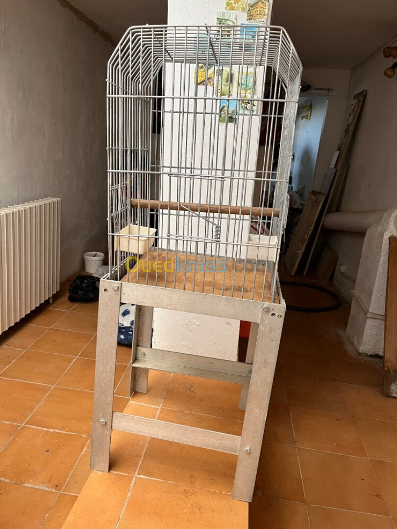 Cage pour perroquet 