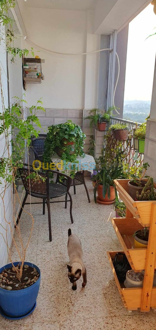 Vente Appartement F4 Alger Ain naadja