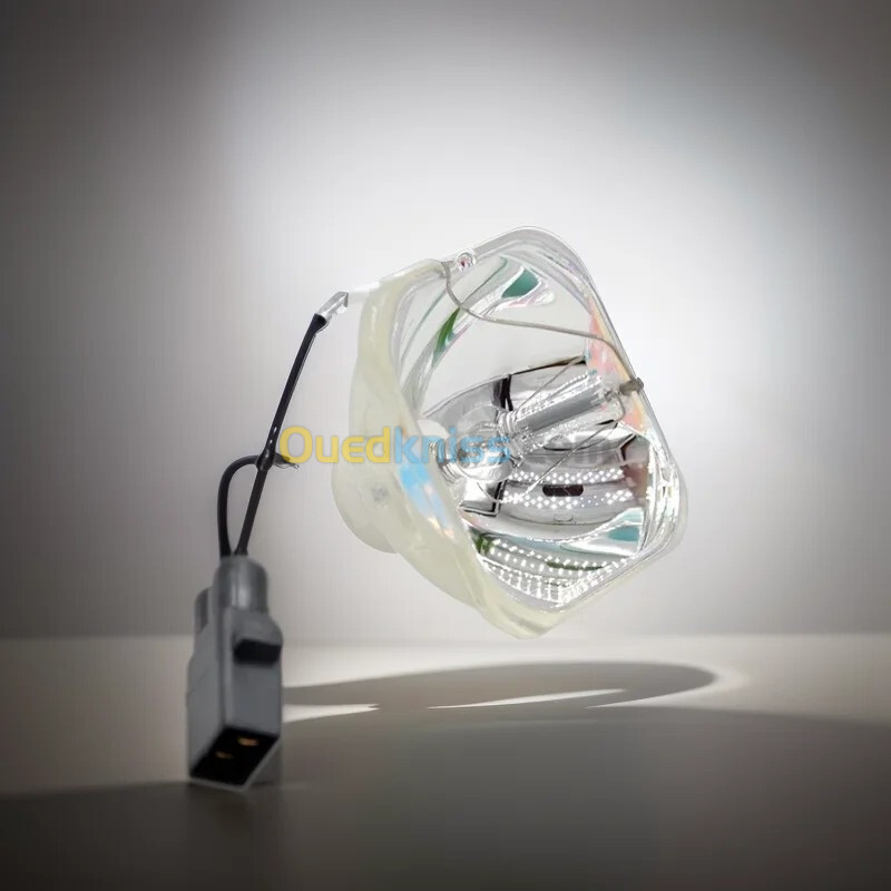 LAMPE DATA SHOW EPSON