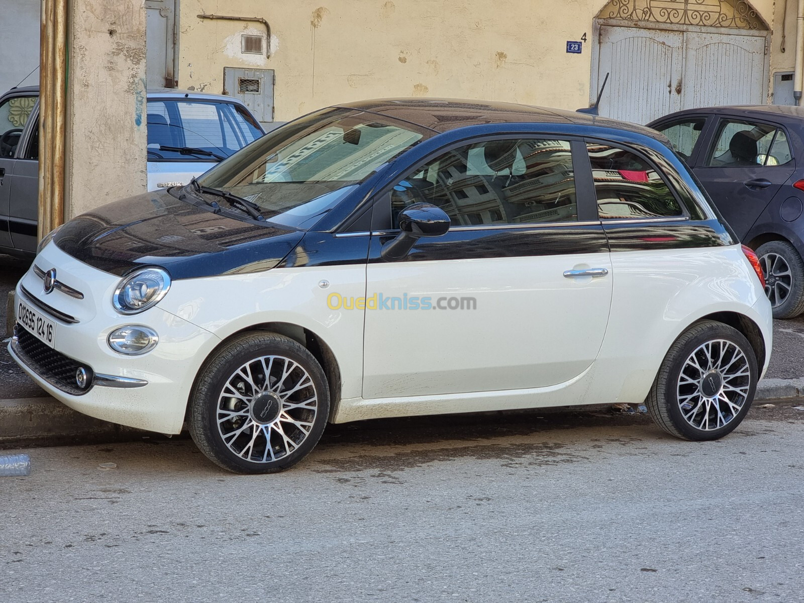 Fiat Fiat 500 2024 Dochivita