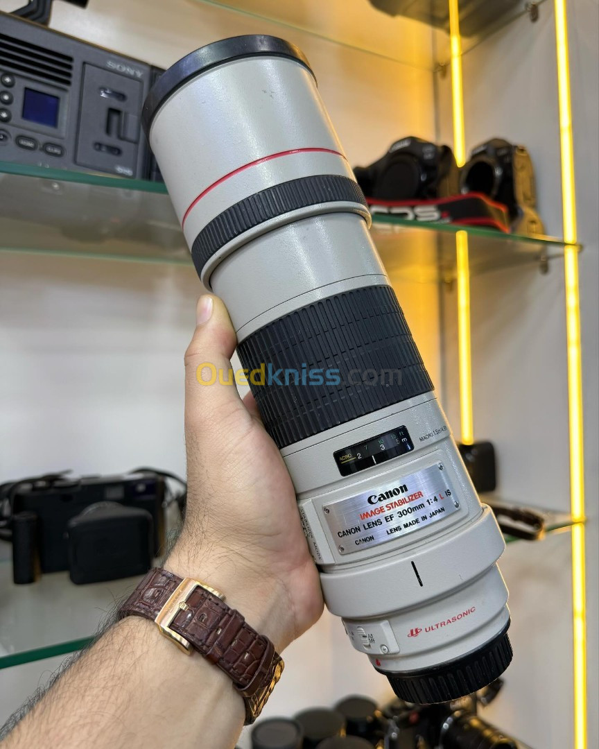 Canon Zoom Lens EF 300mm f/4 L IS USM