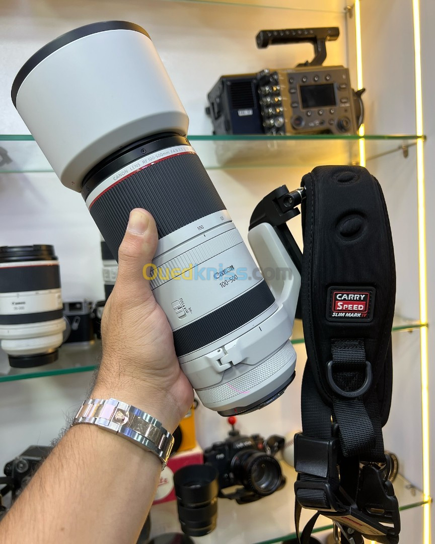 Canon RF 100-500mm F4.5-7.1 L IS USM