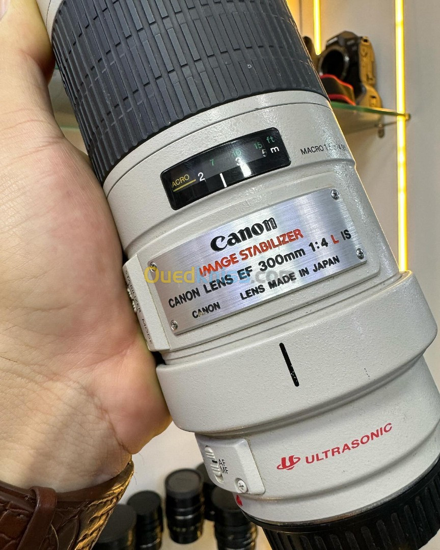 Canon Zoom Lens EF 300mm f/4 L IS USM