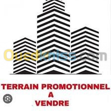 Vente Terrain Alger Cheraga