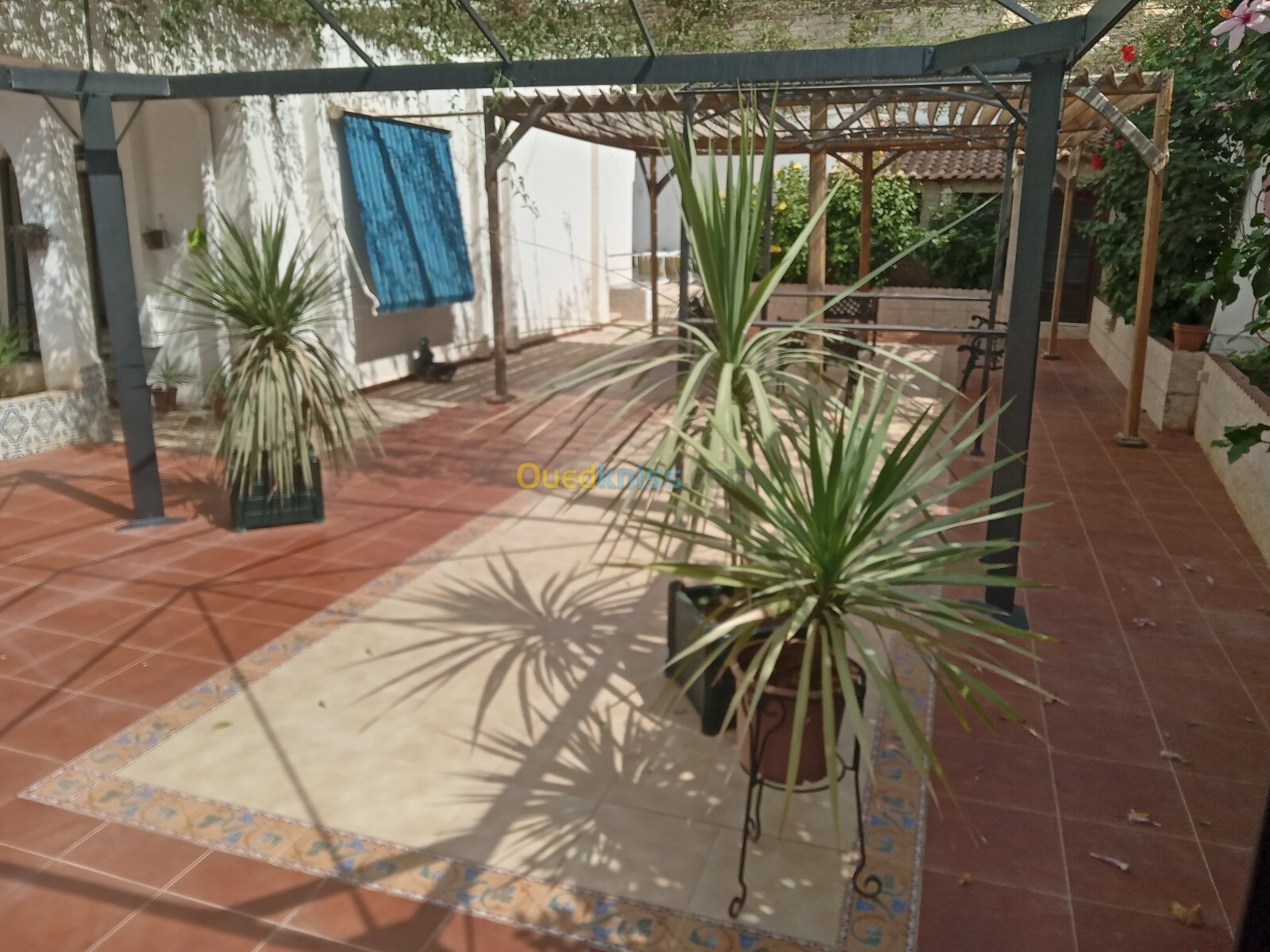 Vente Villa Alger Cheraga