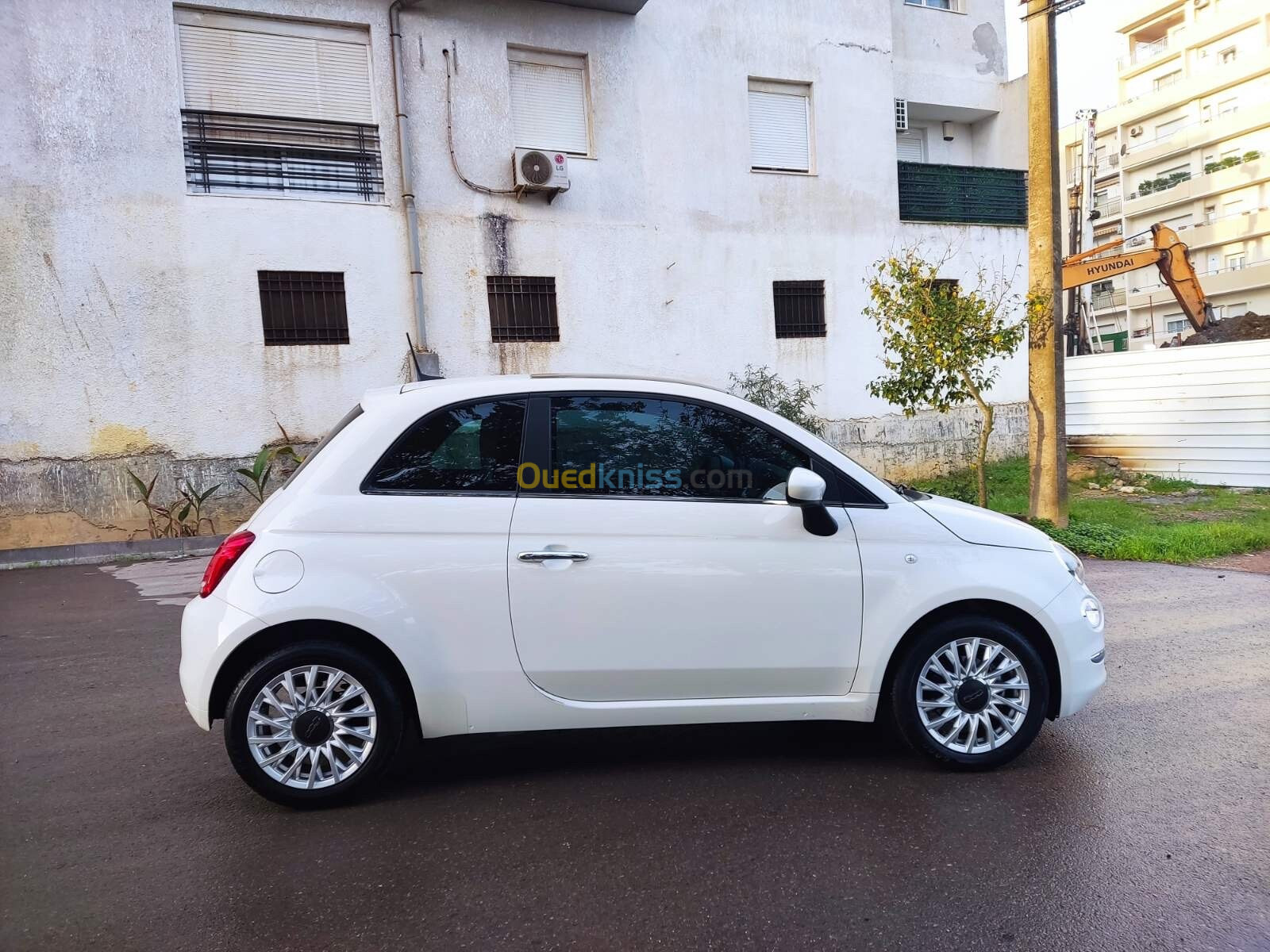 Fiat 500 2024 club