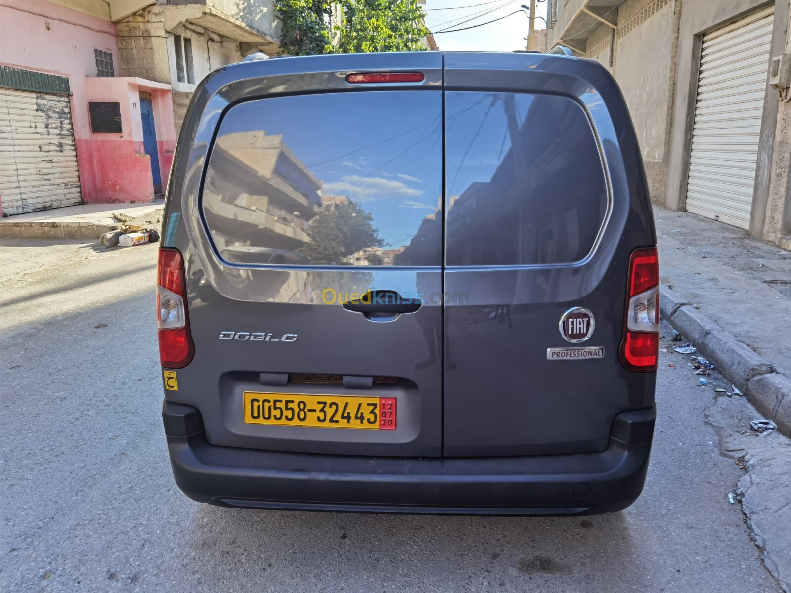 Fiat Doblo 2024 professional