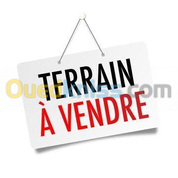 Vente Terrain Alger Dely brahim