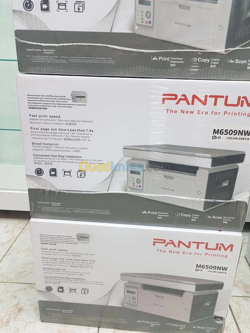 Imprimante Multifonction Laser Monochrome PANTUM M6509NW I