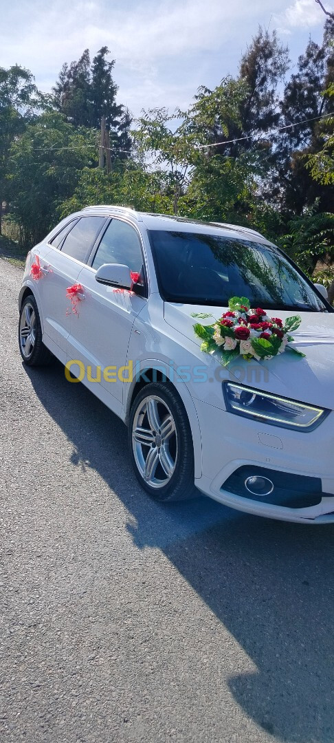 Audi Q3 2013 