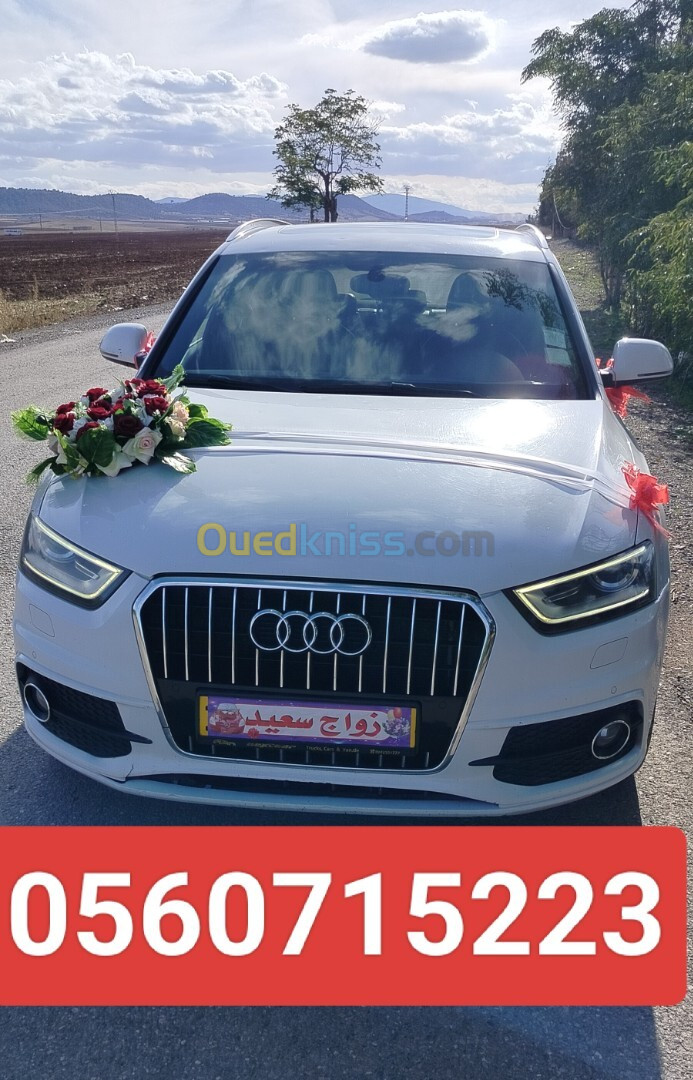 Audi Q3 2013 