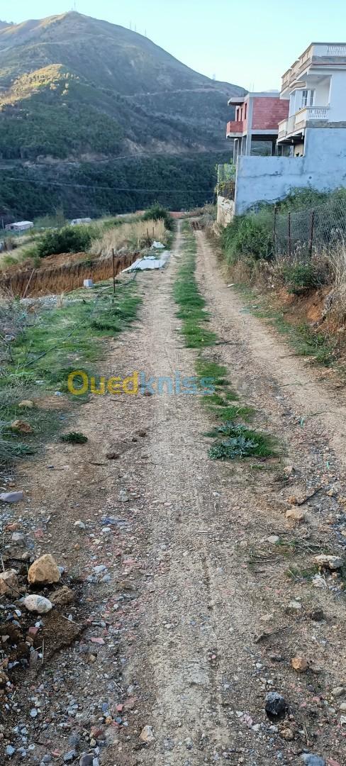 Vente Terrain Bejaia Aokas