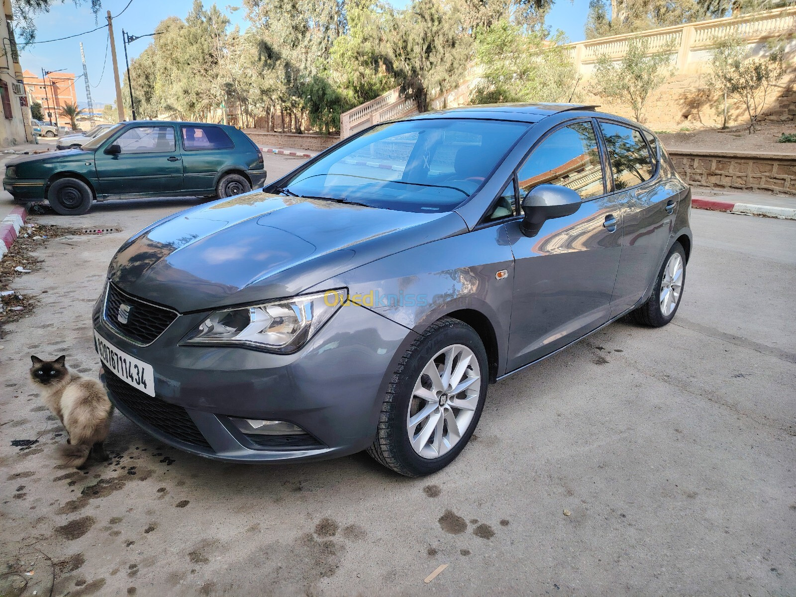 Seat Ibiza 2014 