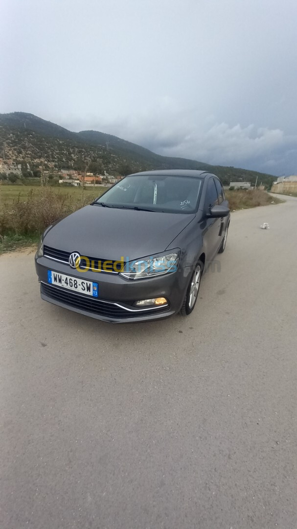 Volkswagen Polo 2017 Bleumation