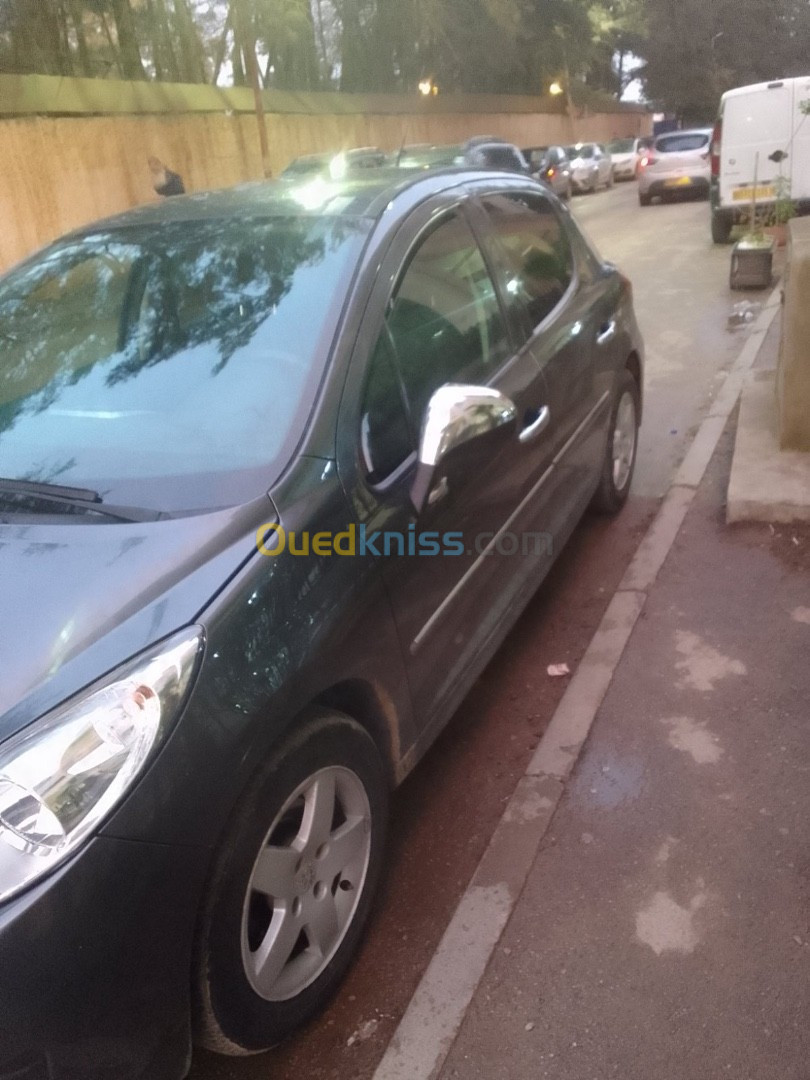 Peugeot 207 2010 Allure