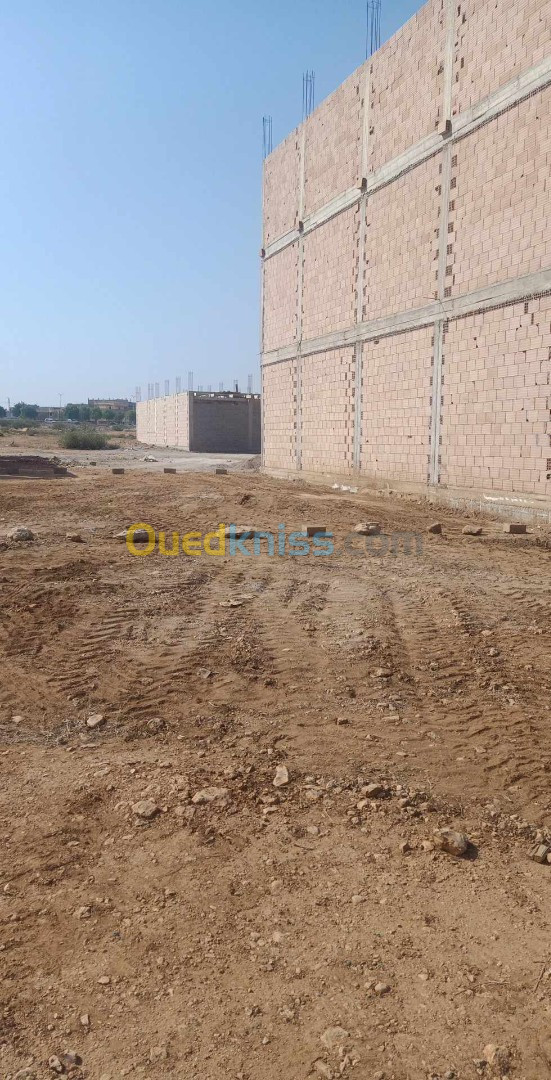 Vente Terrain Tlemcen Zenata