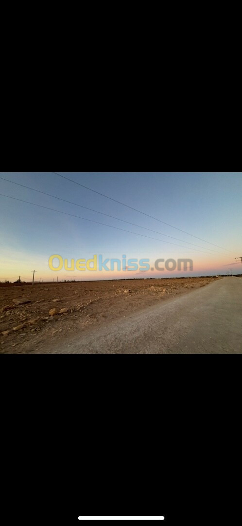 Location Terrain Djelfa Ain oussara