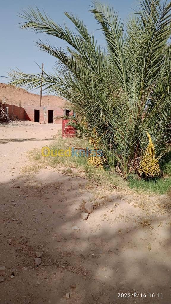 Vente Terrain Biskra El hadjeb