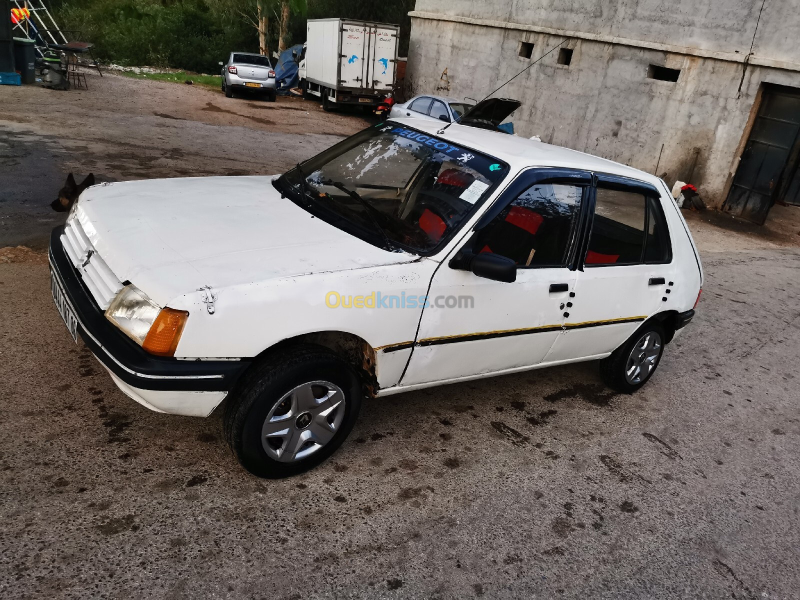 Peugeot 205 1987 Junior