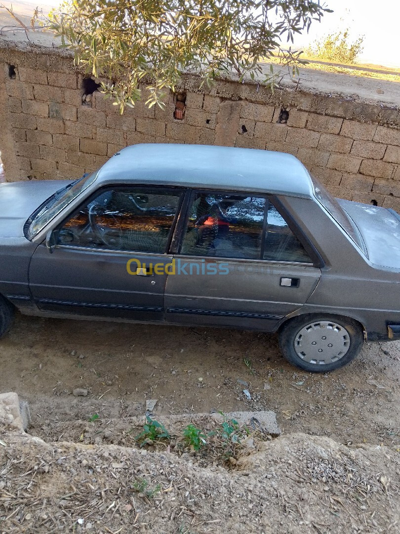 Peugeot 305 1986 Bx