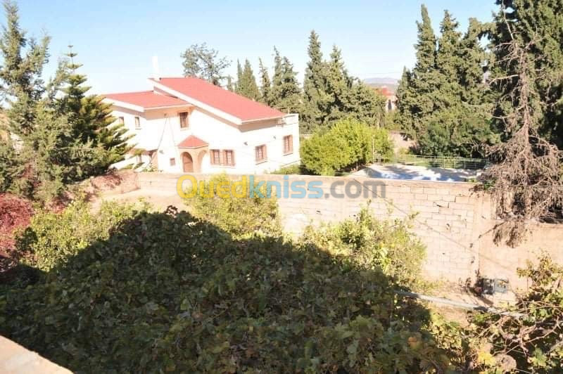 Vente Villa Tlemcen Tlemcen