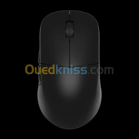 XM2we Wireless Gaming Mouse - black