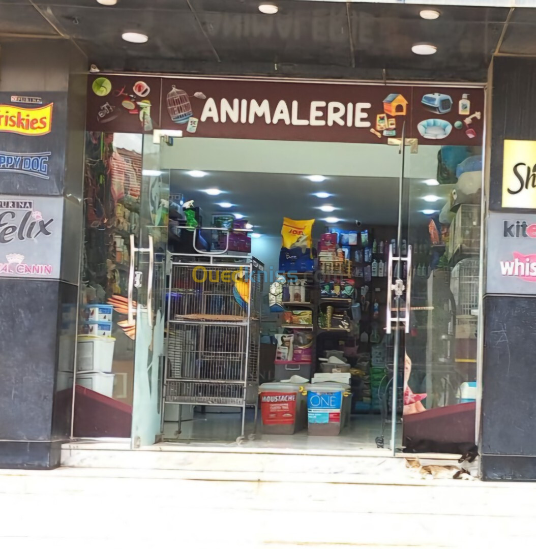 Vente Local Alger Cheraga