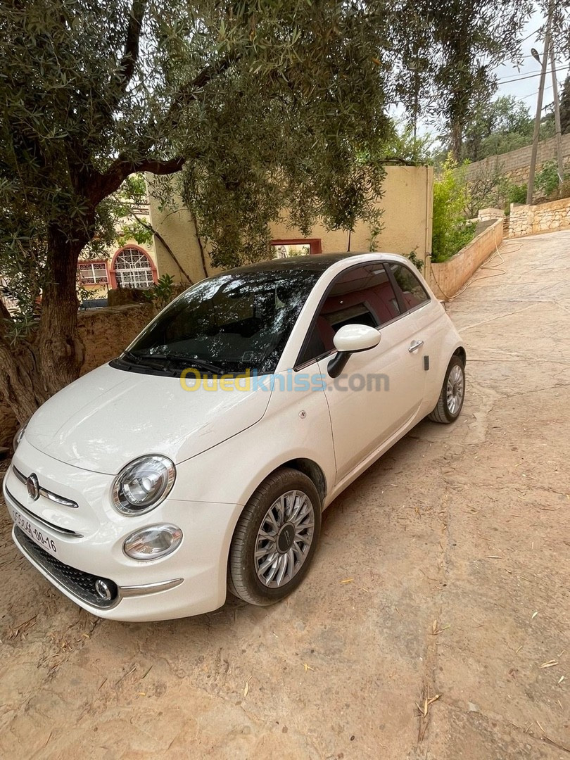 Fiat 500 2024 