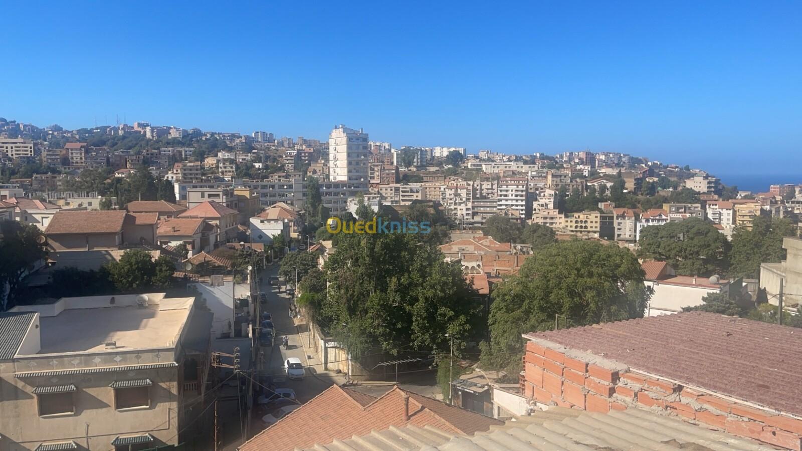 Location Appartement F1 Alger El biar