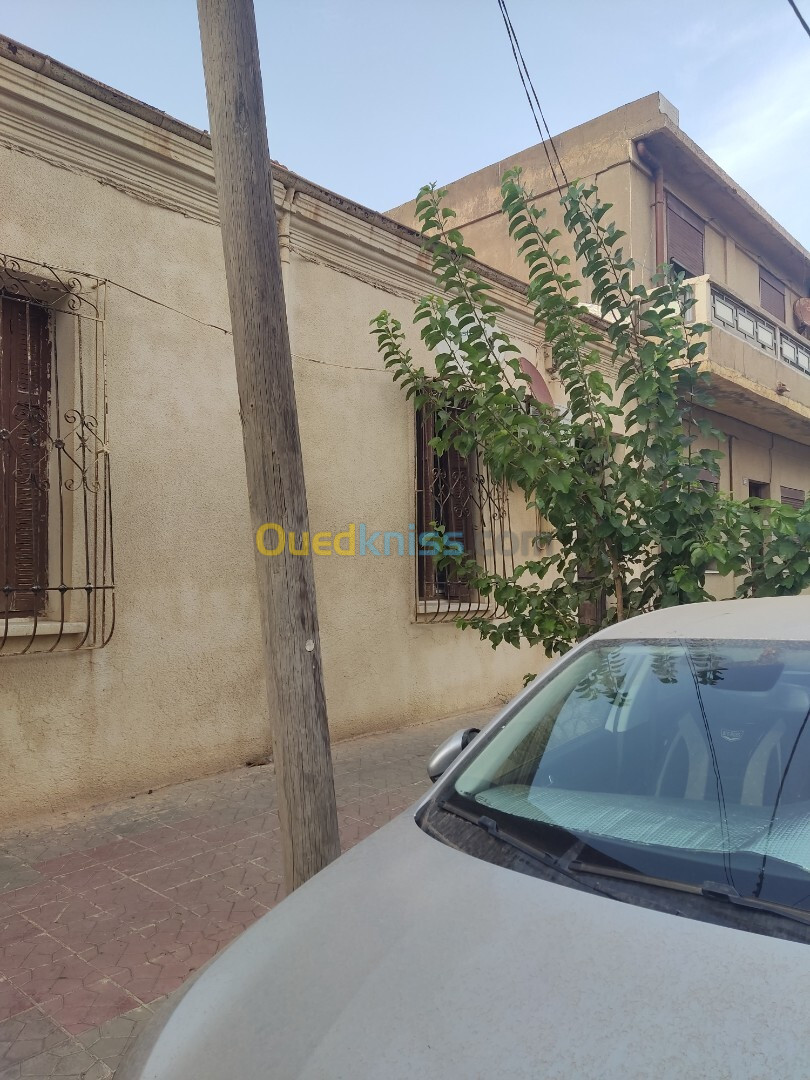 Vente Appartement Tipaza Cherchell