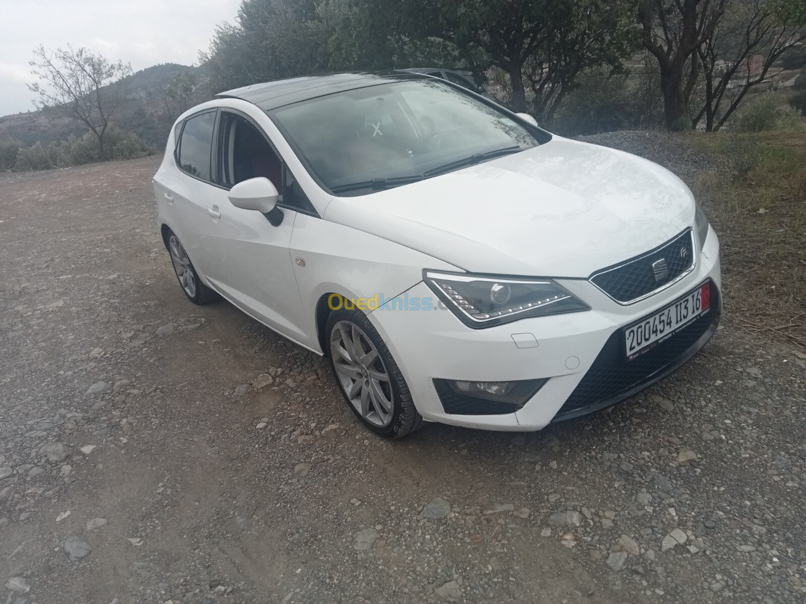 Seat Ibiza 2013 Ibiza