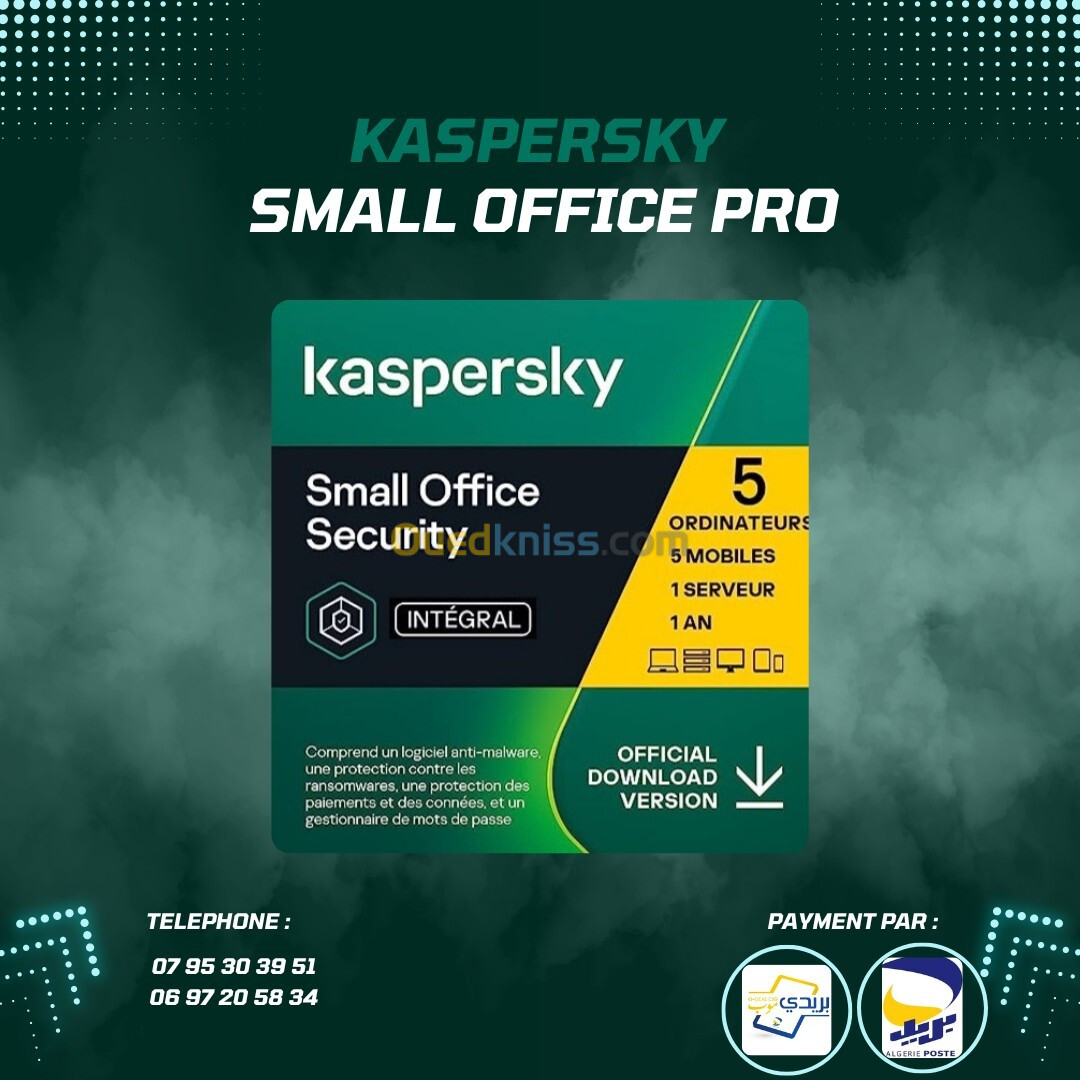 Kaspersky Antivirus Small Office security Premium Personel and Business