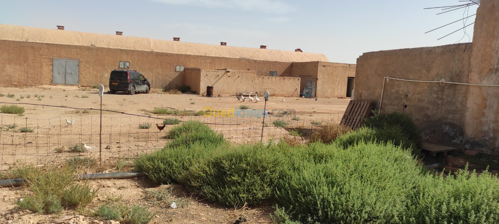 Vente bien immobilier Msila Ain el hadjel