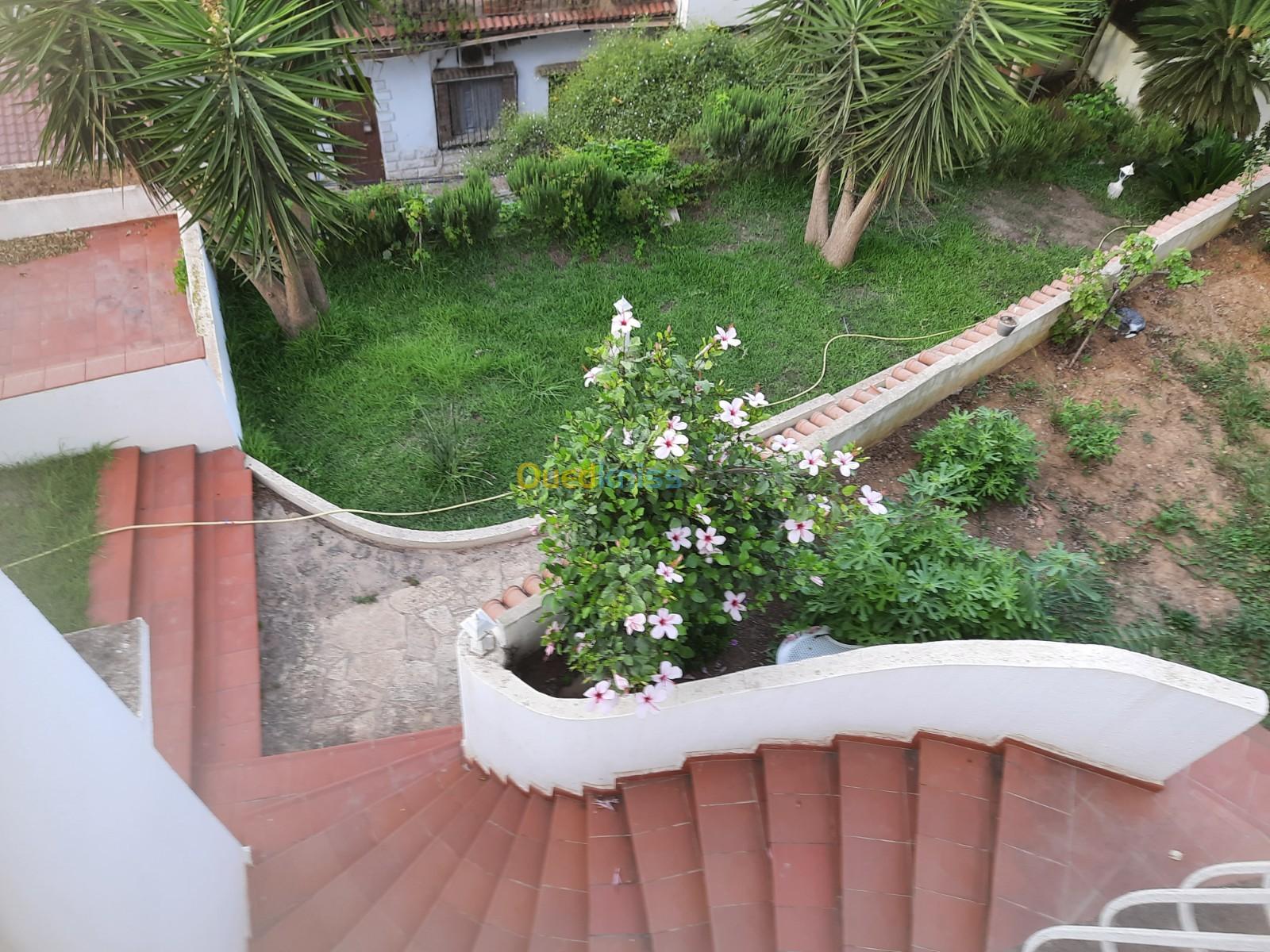 Location Villa Alger El mouradia