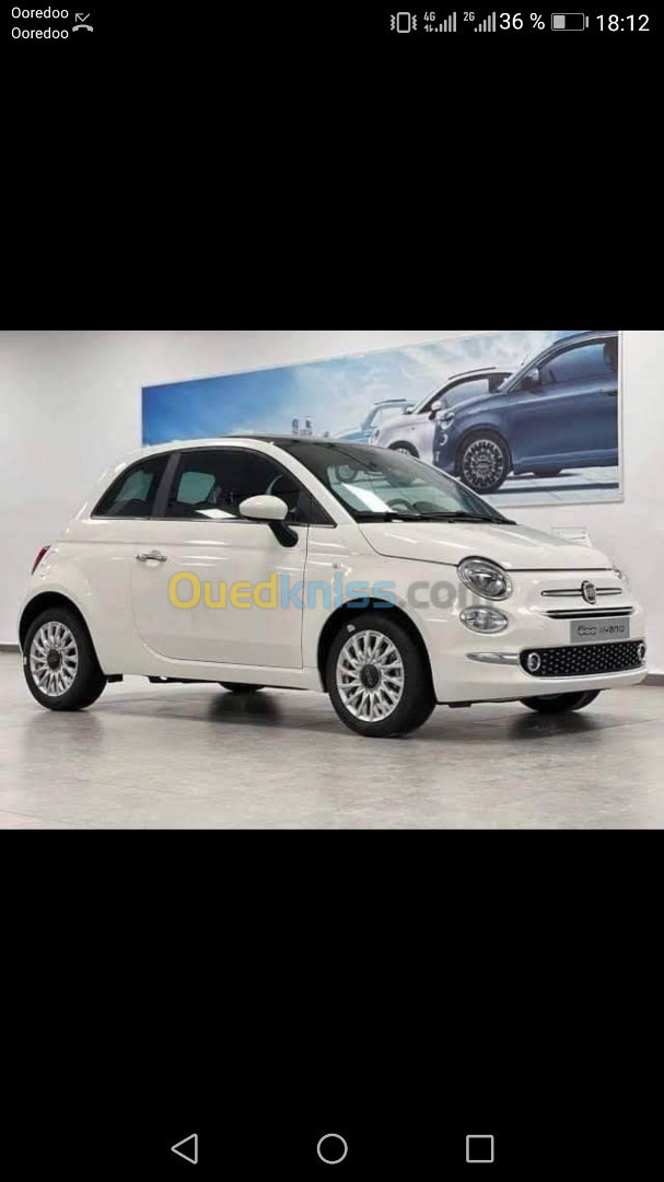 Fiat Club 2024 Club