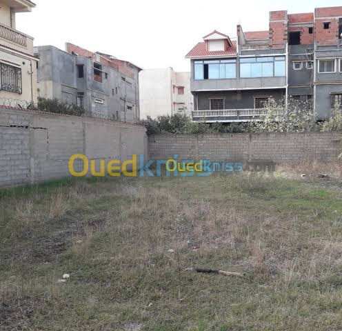 Vente Terrain Oran Bir el djir