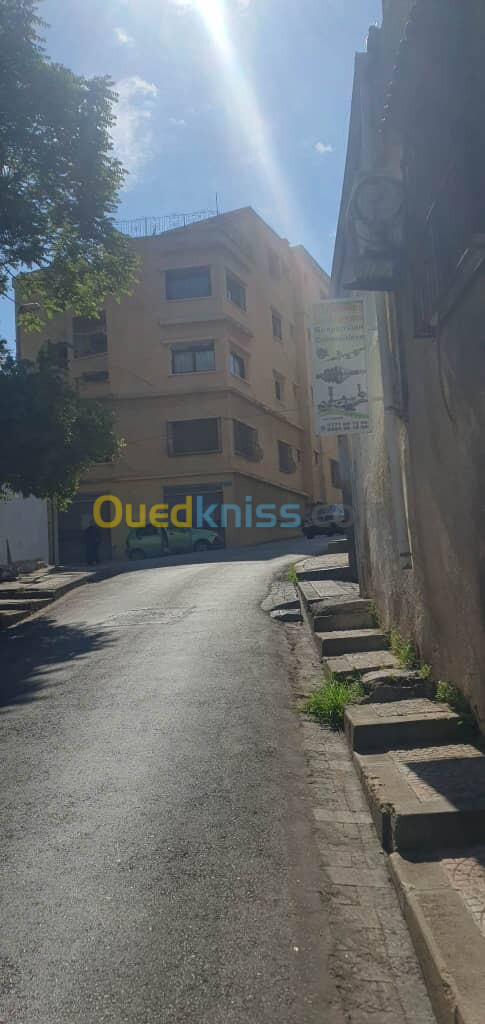 Vente Niveau De Villa F5 Alger Sidi mhamed