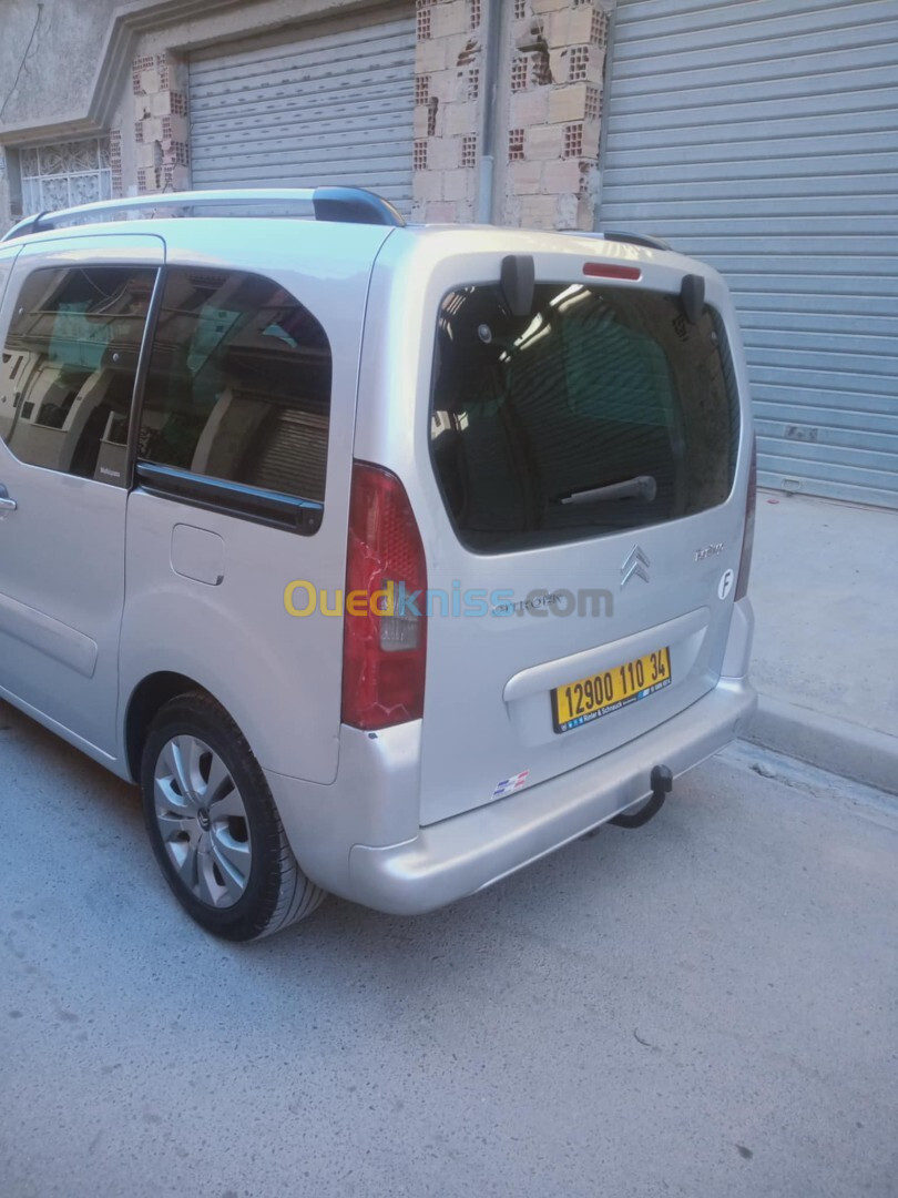 Citroen Berlingo 2010 Tepi