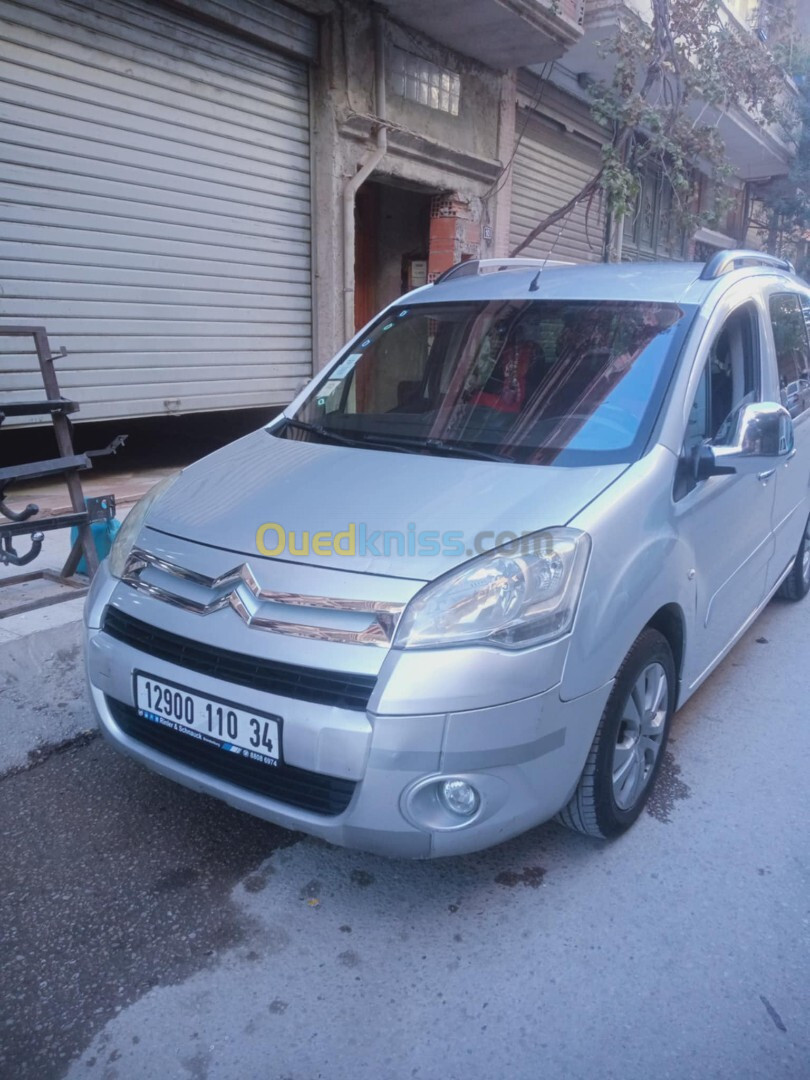 Citroen Berlingo 2010 Tepi