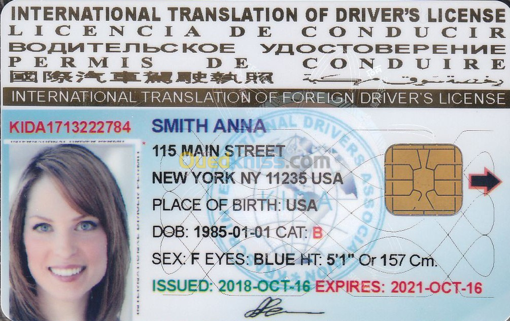 USA (رخصة سياقة دولية (صالحة 10 سنوات