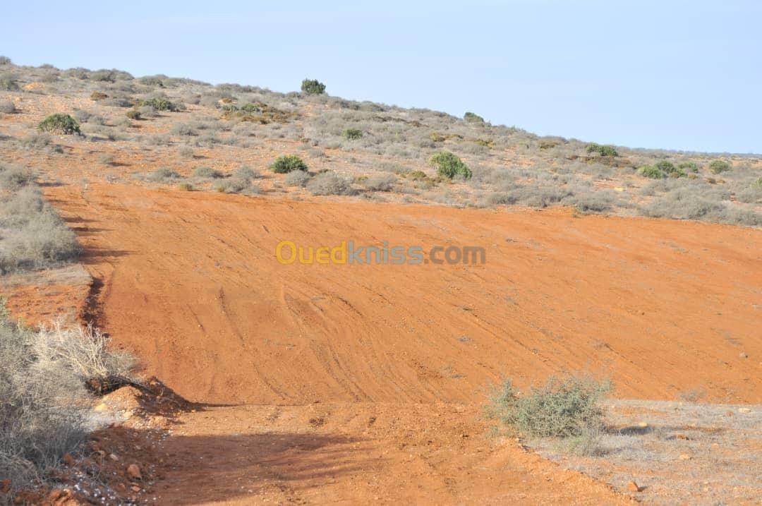 Vente Terrain Tlemcen Tlemcen