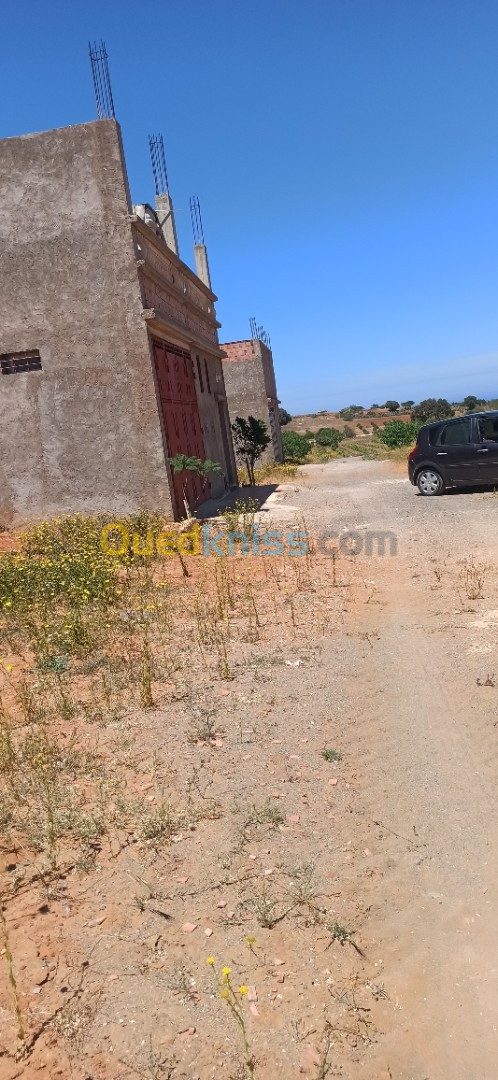 Vente Terrain Mostaganem Sidi lakhdaara